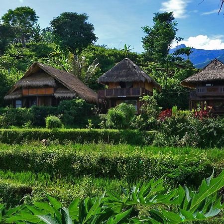Rinjani Mountain Garden Bayan Exterior foto