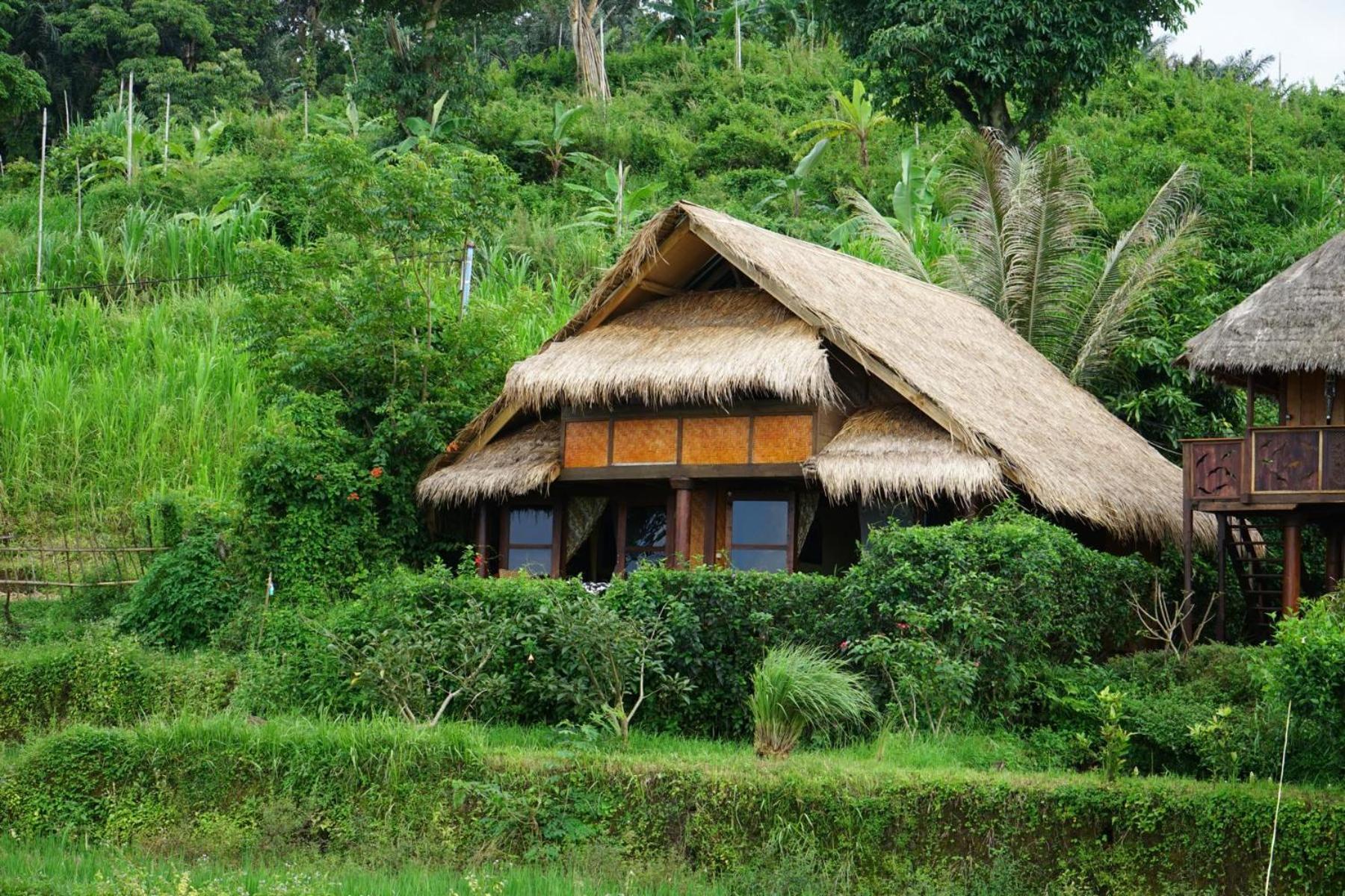 Rinjani Mountain Garden Bayan Exterior foto