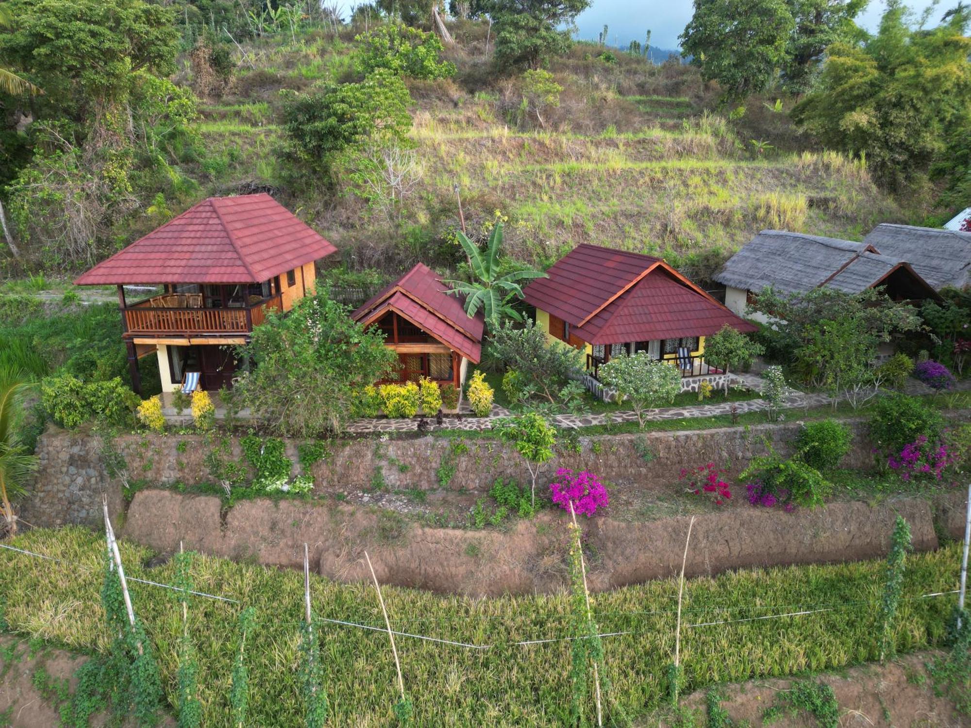 Rinjani Mountain Garden Bayan Exterior foto