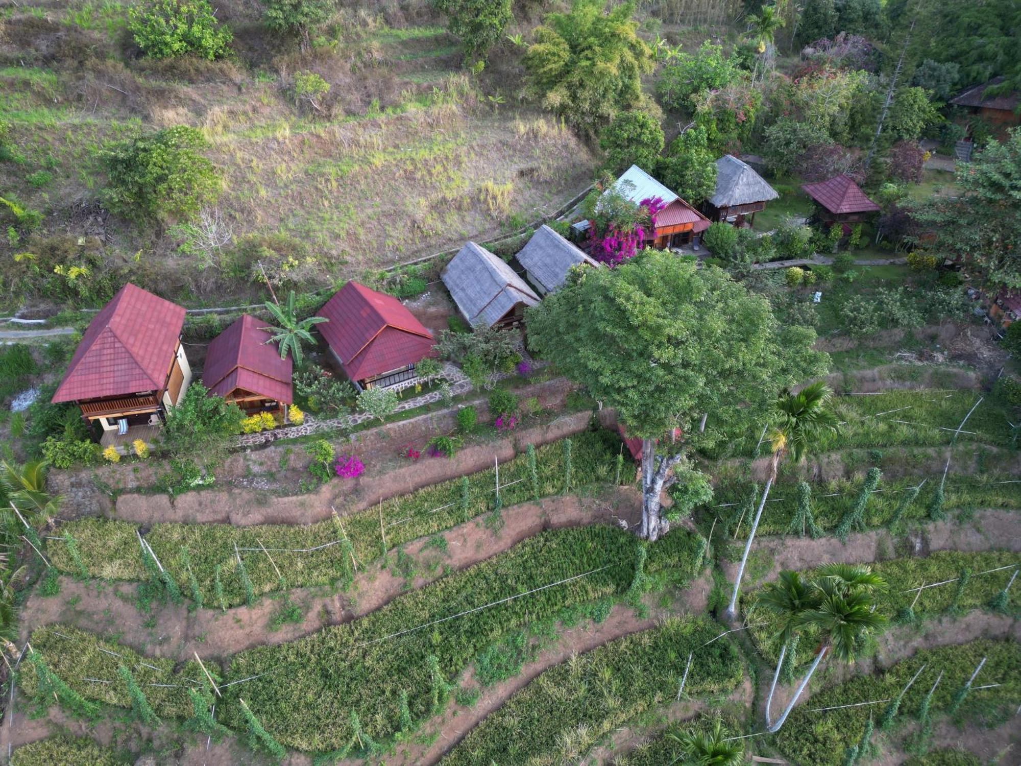 Rinjani Mountain Garden Bayan Exterior foto
