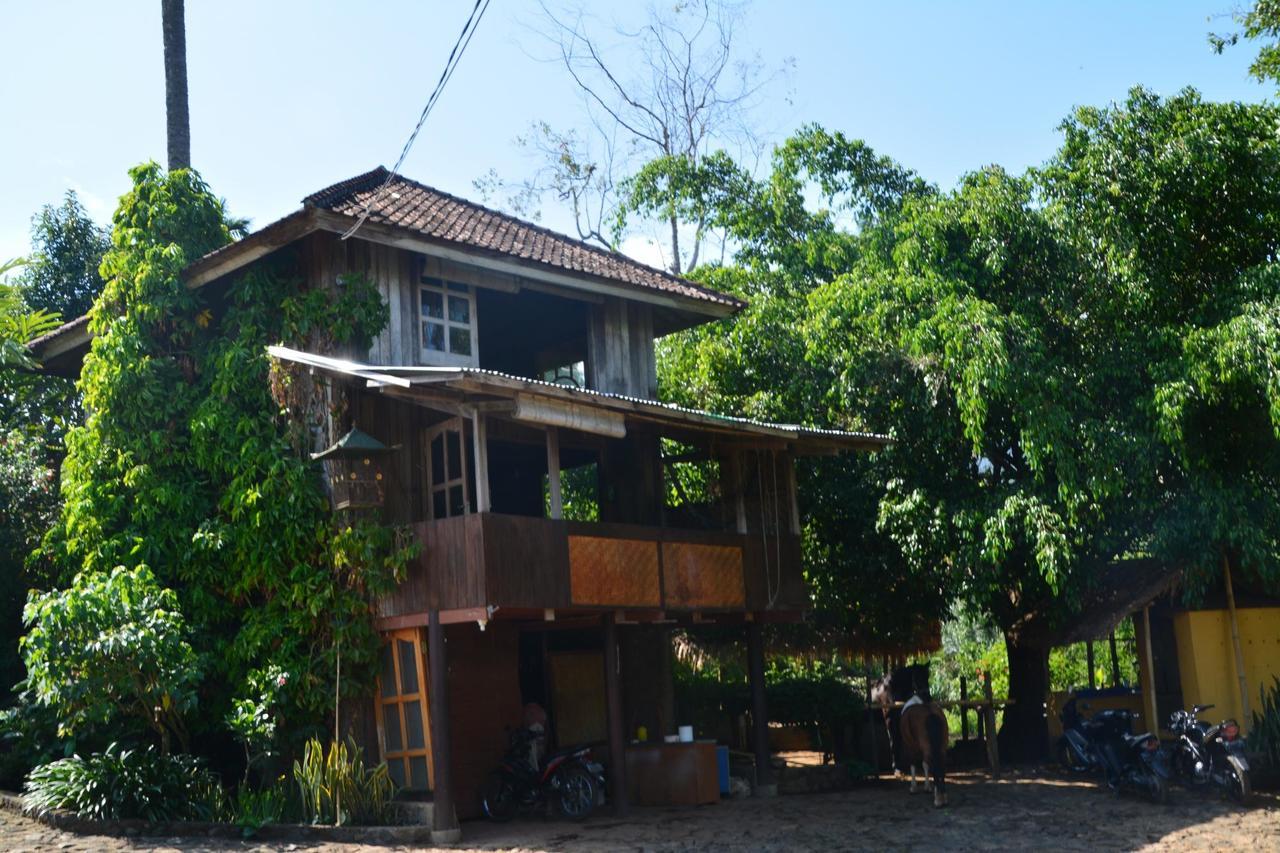Rinjani Mountain Garden Bayan Exterior foto