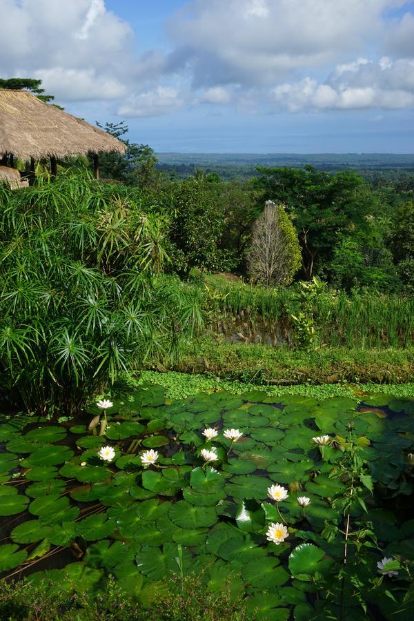 Rinjani Mountain Garden Bayan Exterior foto