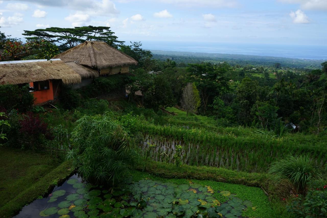 Rinjani Mountain Garden Bayan Exterior foto