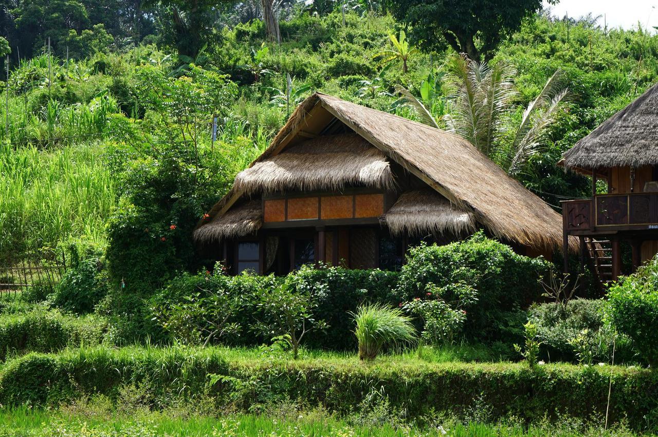 Rinjani Mountain Garden Bayan Exterior foto