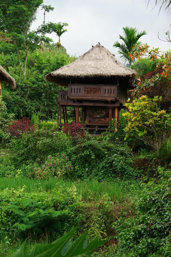 Rinjani Mountain Garden Bayan Exterior foto