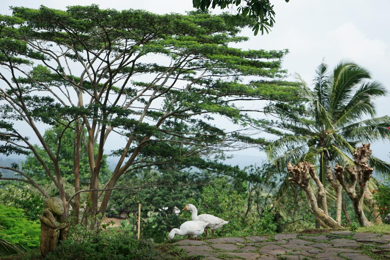 Rinjani Mountain Garden Bayan Exterior foto