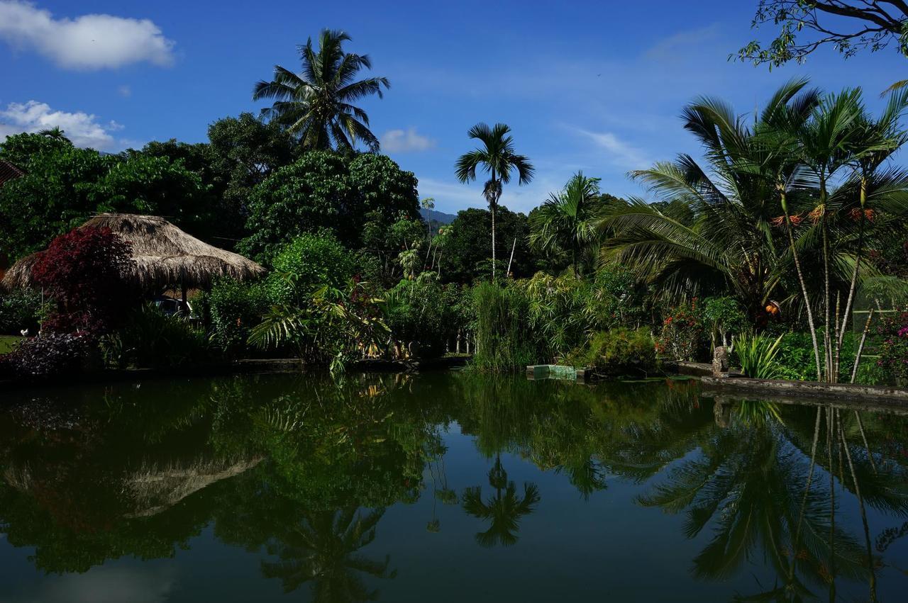 Rinjani Mountain Garden Bayan Exterior foto