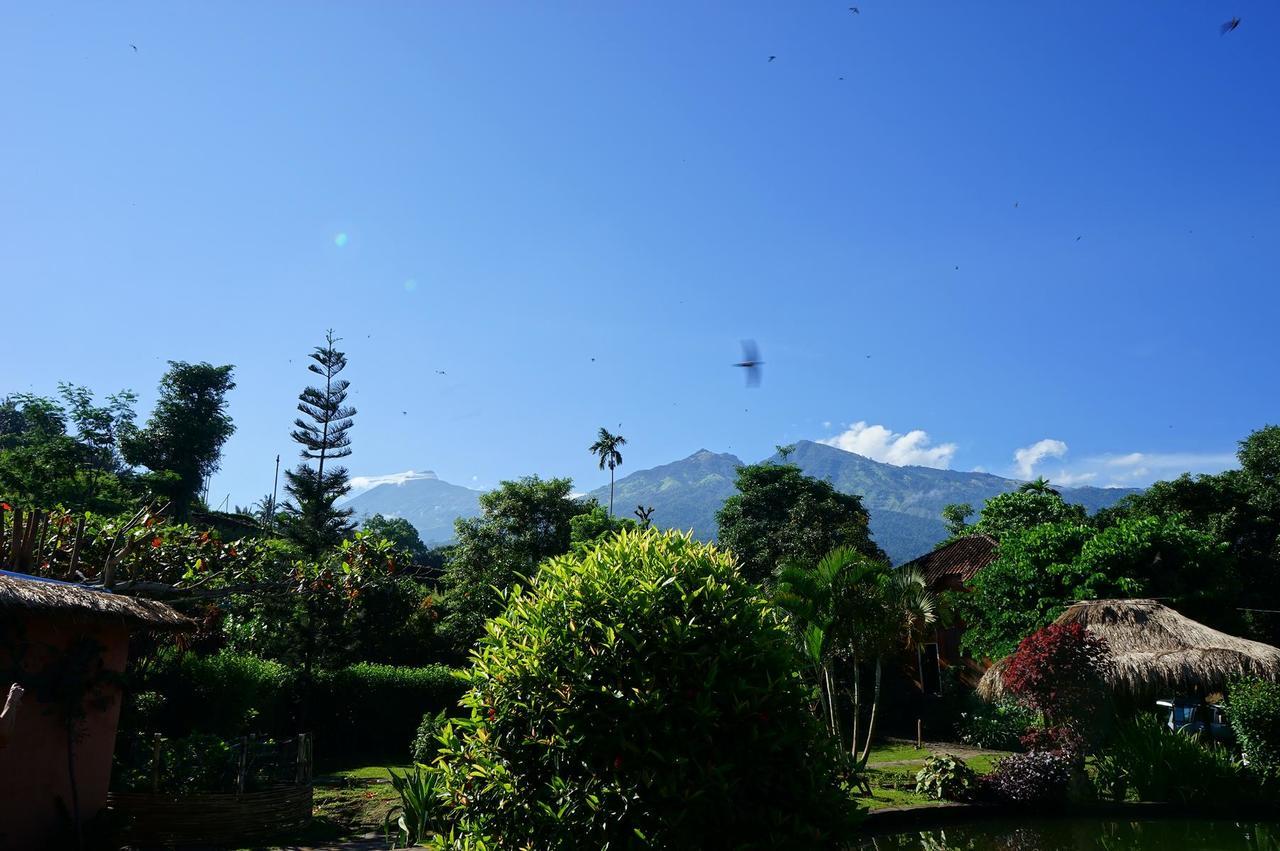 Rinjani Mountain Garden Bayan Exterior foto