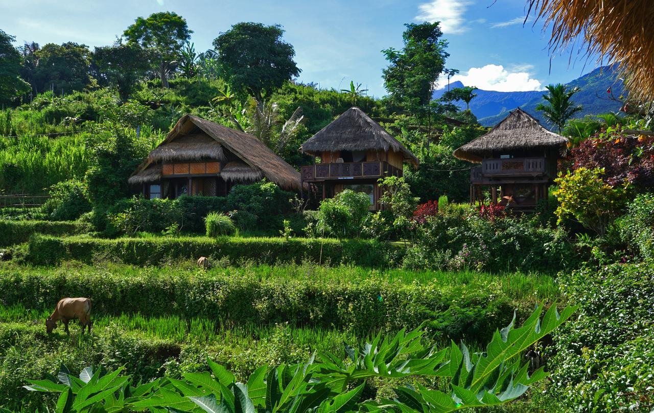 Rinjani Mountain Garden Bayan Exterior foto